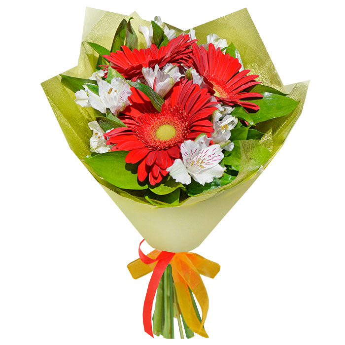 Купить цветы в кирсе доставка цветов калининградская область светлый